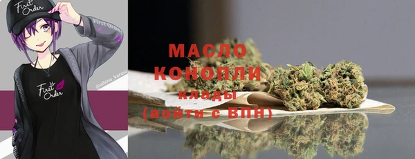 молекула духа Новозыбков
