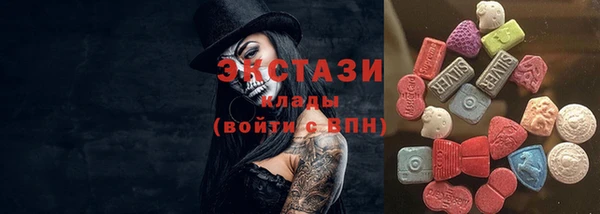 молекула духа Новозыбков