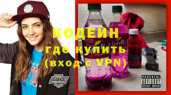 молекула духа Новозыбков