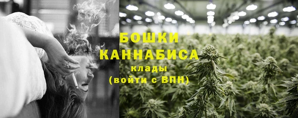 прущая мука Няндома