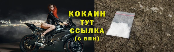 прущая мука Няндома