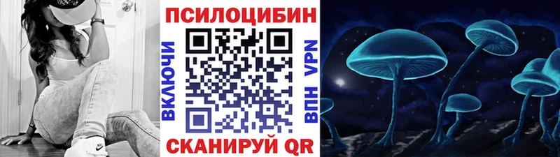 магазин    Зеленоградск  Галлюциногенные грибы Psilocybe 